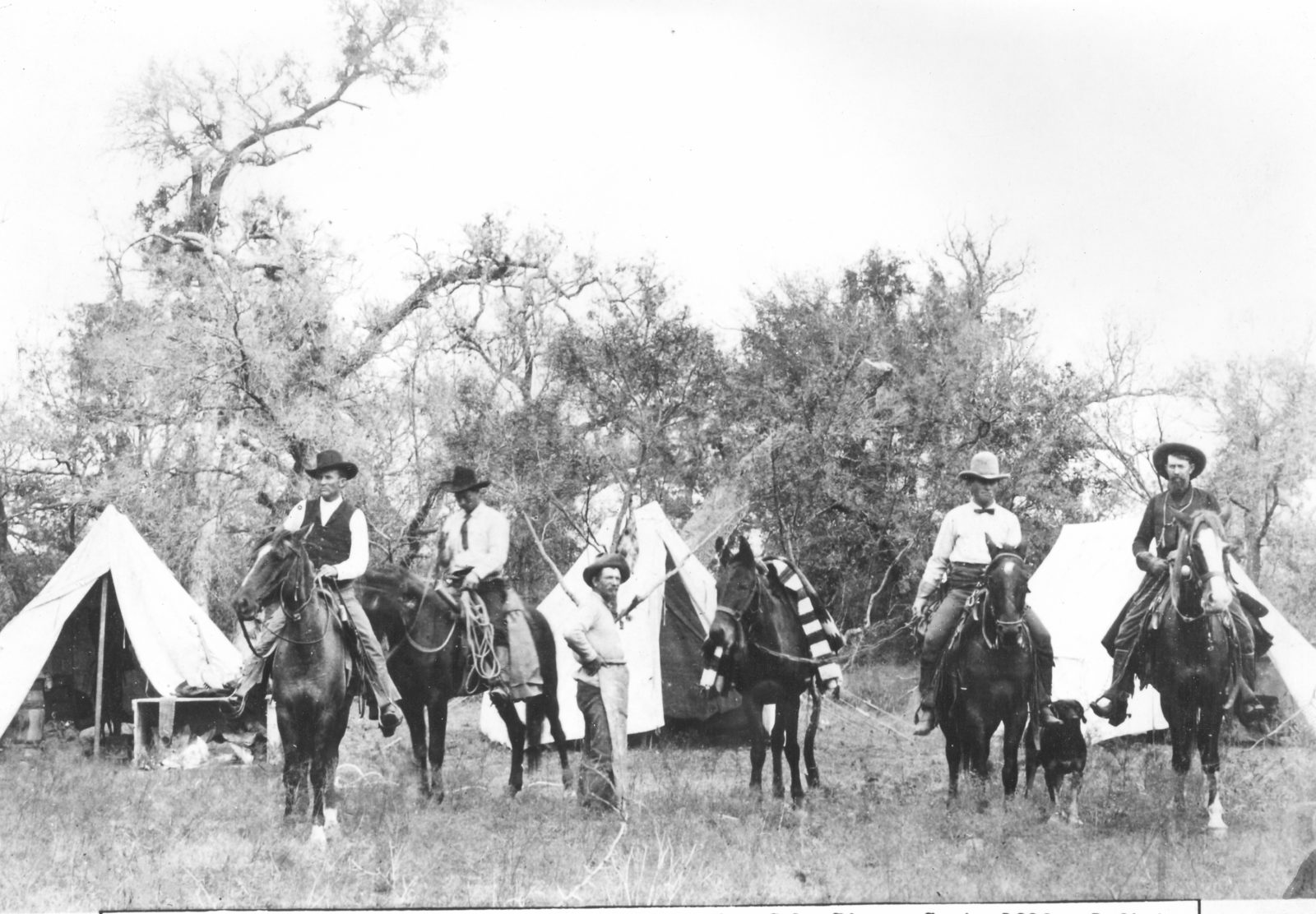 old texas rangers